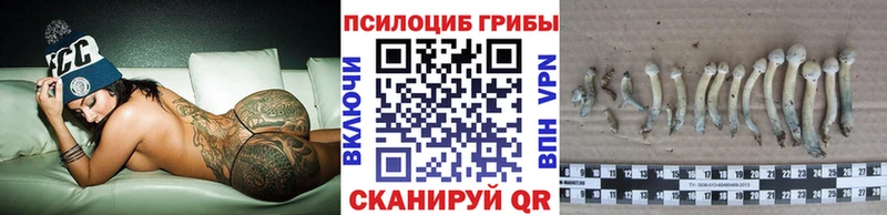 Псилоцибиновые грибы Psilocybe  купить закладку  Покров 